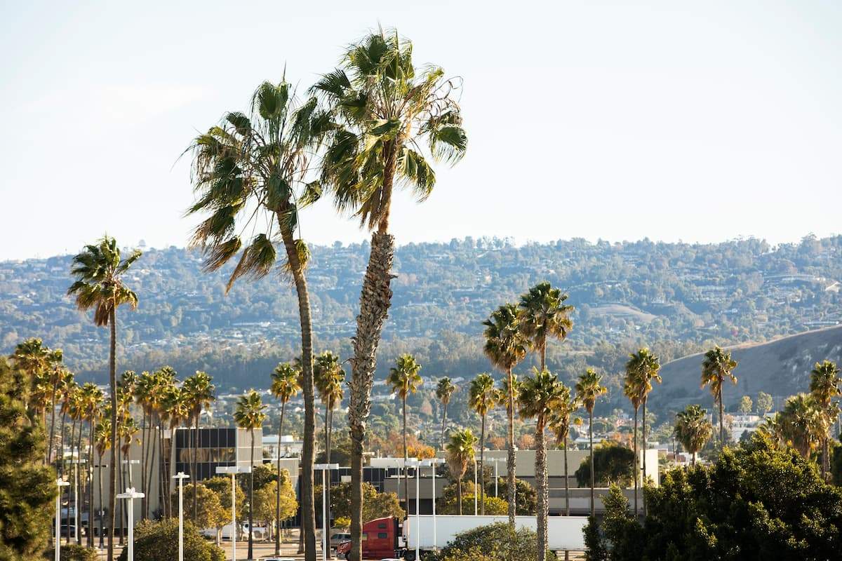 Fianzas en Torrance, California | The Bail Boys